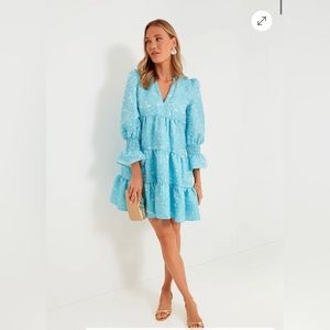 Pomander Place Blue Daisy Jacquard Dress